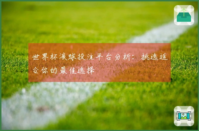 世界杯滚球投注平台分析：挑选适合你的最佳选择