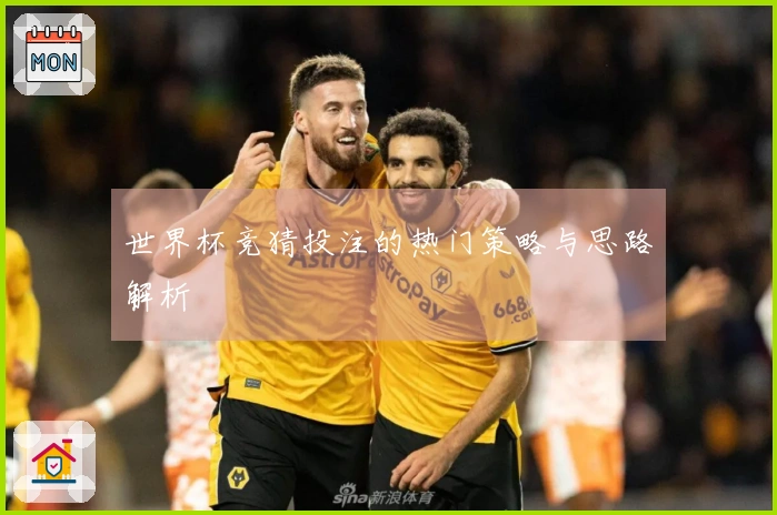世界杯竞猜投注的热门策略与思路解析