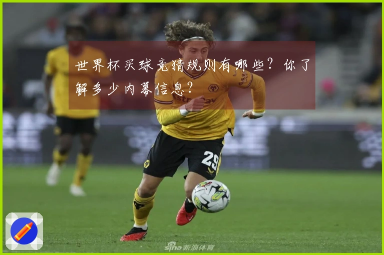 世界杯买球竞猜规则有哪些？你了解多少内幕信息？