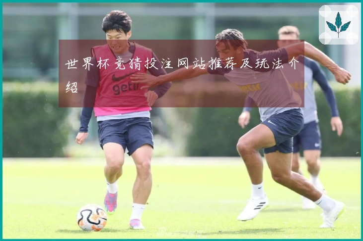 世界杯竞猜投注网站推荐及玩法介绍