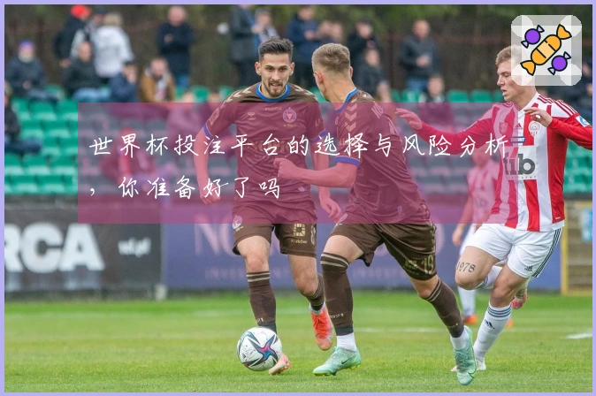 世界杯投注平台的选择与风险分析，你准备好了吗