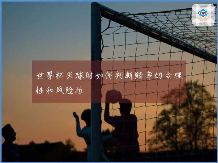 世界杯买球时如何判断赔率的合理性和风险性