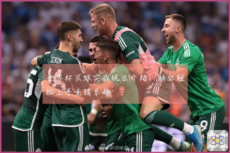 世界杯买球实战玩法介绍，助你轻松上手竞猜乐趣