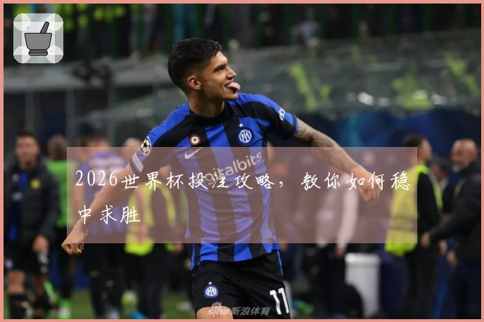 2026世界杯投注攻略，教你如何稳中求胜