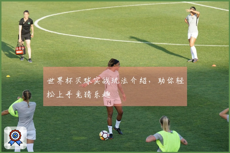 世界杯买球实战玩法介绍，助你轻松上手竞猜乐趣